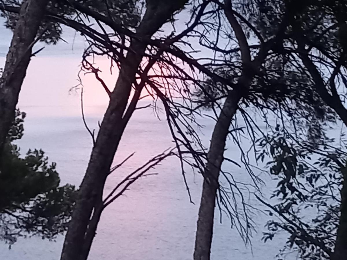 Chambre D Hote Les Heures Claires Istres Exterior foto